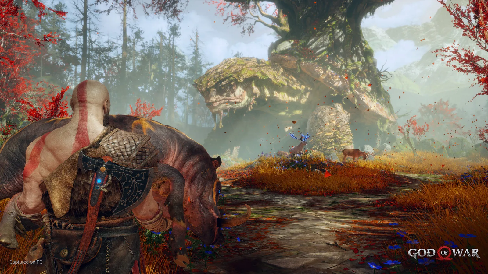 God of War (2022) 截图 8缩略图